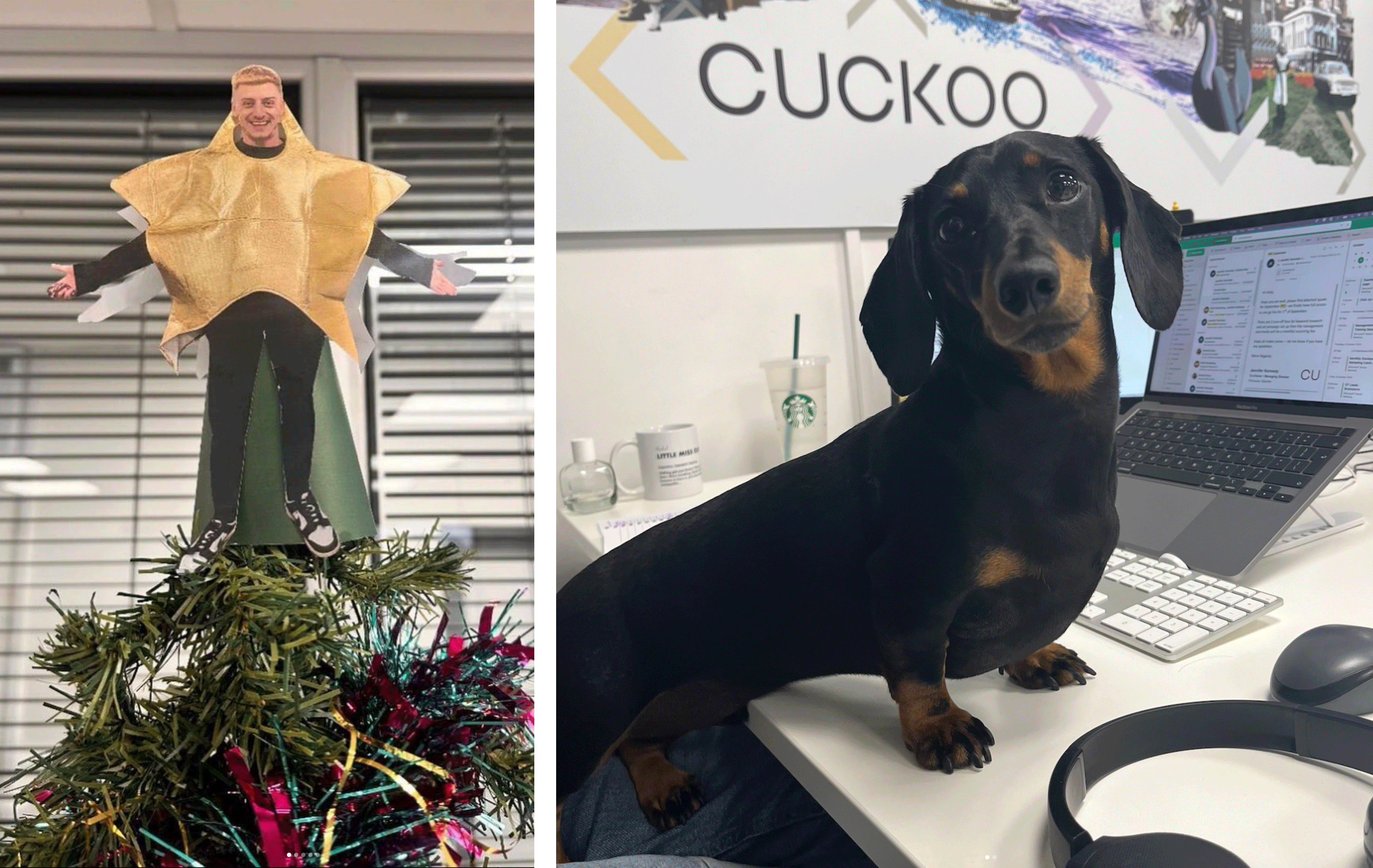 Cuckoo Neville Dog and Oli